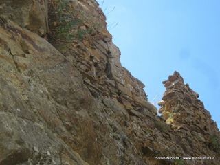stello Colonna-13-07-2014 20-40-30